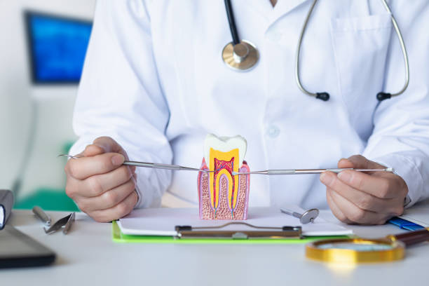Best Tooth Pain Emergency Relief  in Choccolocco, AL